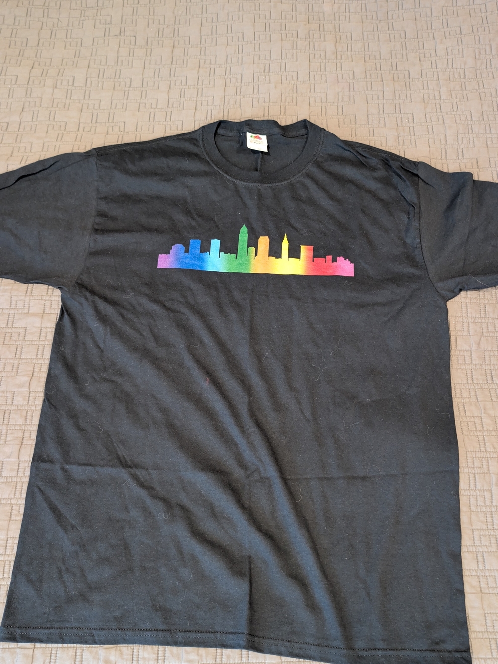 Black Unisex Tshirt with Rainbow Skyline Graphic